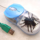 Image for article titled Spider Mouse Is Perfect for Arachnophobes